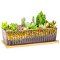 Succulent Pots, 12'' Long Rectangle Planters with Tray, Windowsill Planter - color: Yellow