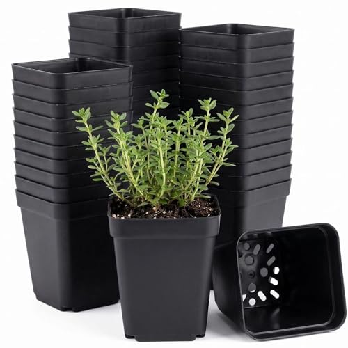 50 Packs Square Nursery Pots for Plants 2.2 Inch Seedling Pots - size: 2.2 Inch