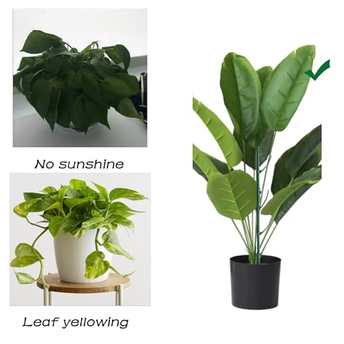 Yvpsi 12Pack Stackable Plant Support Stakes Twigs Plant Stakes for Indoor
