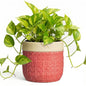 6 Inch Pots for Plants, Ceramic Planter, Round Flower Pots, Red - color: Red, size: 6 Inch