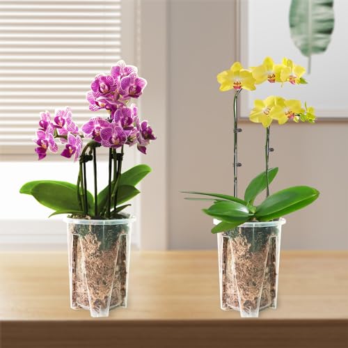 Orchid Pot 12-Pack: Clear Plastic 4.7-Inch Orchid Pots, Holes for Repotting, Indoor/Outdoor Flower Planter - size: 4.7''12pcs