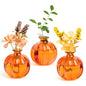XXXFLOWER Plant Terrarium Propagation Stations Unique Gifts for Women Plant Lovers 3Pcs Pumpkin-Shaped Glass Vase for Tabletop Home Office Garden Decor (Plants NOT Included) - size: 3PCS Pumpkin Vase