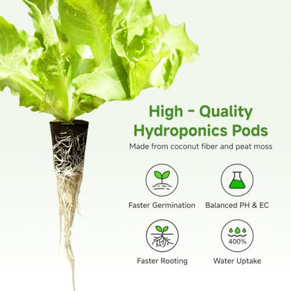 50 Pack Grow Sponges for Hydroponics - Replacement Pods
