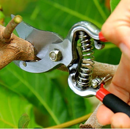 GARDEN GURU Classic Bypass Pruning Shears Clippers – Heavy Duty Forged Steel Garden Pruners – Safety Lock – Non Slip Comfort Grips – Cuts up to 1” Diameter – Professional Bypass Pruners for Gardening - size: 1 Pack, style: Bypass Pruner (Black)