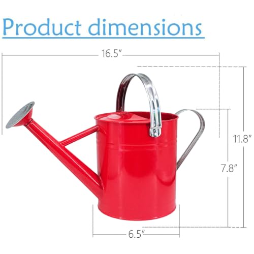 Metal Watering Can 1 Gallon for Indoor and Outdoor Plants Red - color: 1 Gallon Red