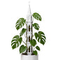 Gothic Tower Moss Pole for Monstera, Self Watering Plant Stake, White