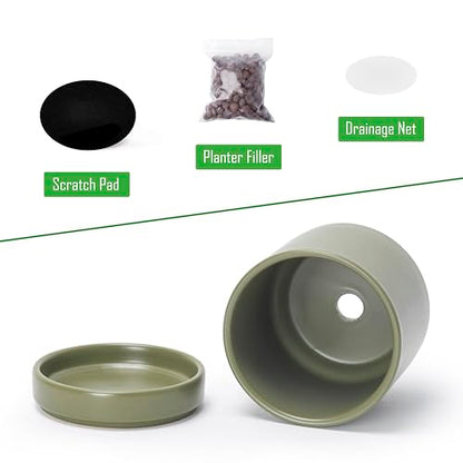 D'vine Dev 4-Pack Ceramic Pots with Saucers, Olive, 3.5 in, 94-X-A-0 - color: Olive, size: 3.5 Inch