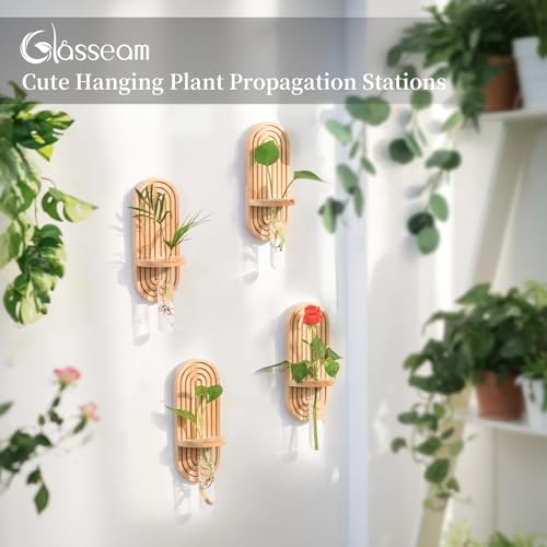 Glasseam Wall Plant Propagation Station: Hanging Glass Propagation Vases