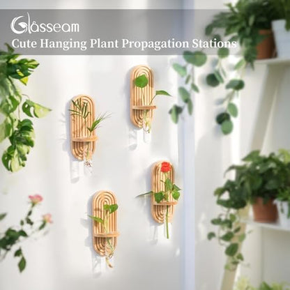 Glasseam Wall Plant Propagation Station: Hanging Glass Propagation Vases