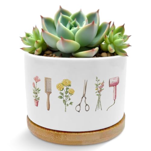 Hairdresser Gifts Plant Pots Succulent Planters - color: Style E