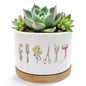 Hairdresser Gifts Plant Pots Succulent Planters - color: Style E