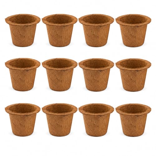 UBICON Premium Coco Coir Seed Starter Nursery Pots - 100% Natural, Sturdy & Breathable, Transplant-Friendly for Healthy Growth (12 Pots)