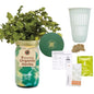 Modern Sprout Mason Garden Jar - Self-Watering Hydroponics Kit - Cilantro - color: Cilantro, size: Garden Jars