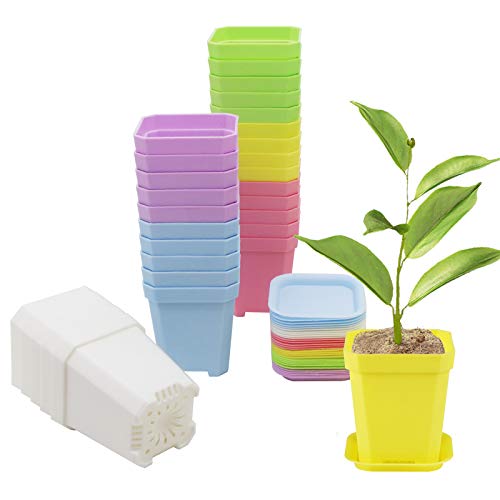30Pcs 3" Plants Nursery Pot with 30 Saucers Multi Color, Square Plant Pots - color: Multicolor