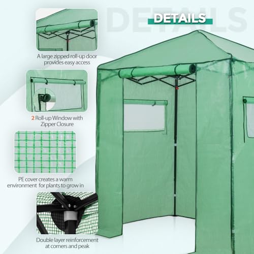 EAGLE PEAK 6x4 Easy Setup Small Pop Up Greenhouse, Clear/Green - color: Clear/Green, size: 6x4