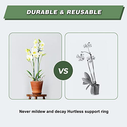 20 Pack 36 Inch Plant Support Stakes for Outdoor Plants and Indoor Flowers - size: 36 Inch