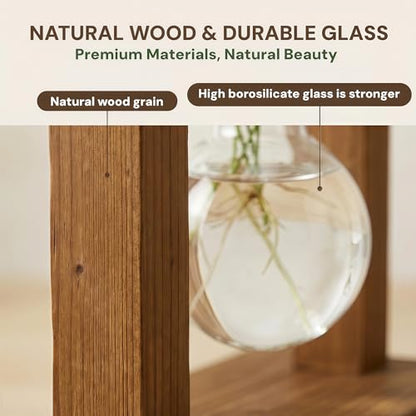 Plant Propagation Station, Wooden Stand with 3 Glass Vases