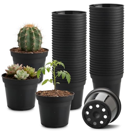 50 Pack 3 Inch Plastic Nursery Pots with Drainage &Raised Base Seed Starter - color: Black, size: 3"-50P