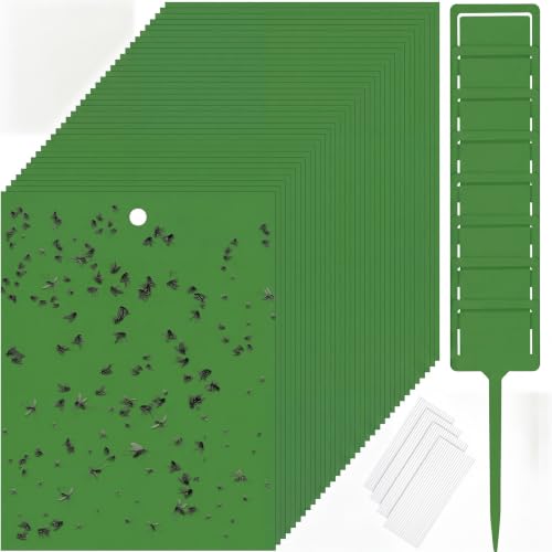 Qualirey 100 Pcs 6 x 8 in Green Sticky Traps for Gnats Plant Insect Trap - color: Green