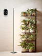 GLOWRIUM 60in Standing Grow Light, Vertical Grow Lights for Indoor Plants