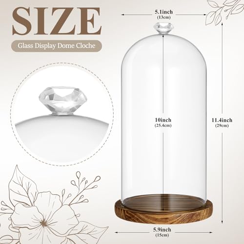 Suclain 1 Pcs 6 x 10 Inch Cloche Glass Dome with Base Bell Jar, Dark Brown - color: Dark Brown