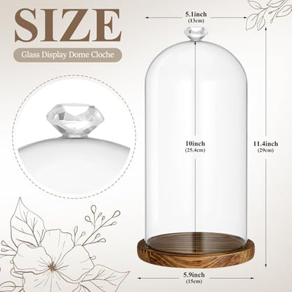 Suclain 1 Pcs 6 x 10 Inch Cloche Glass Dome with Base Bell Jar, Dark Brown - color: Dark Brown