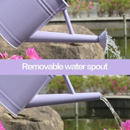 Metal Watering Can 1 Gallon for Outdoor Garden Plants,Purple - color: Purple With Stainless Steel Handle