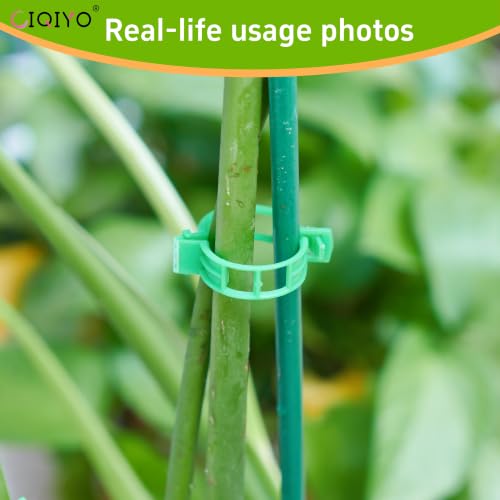 Plant Support Clips,Plastic Clips for Securing Plants,Tomato Vine Clips,Plant Fixing Clips,Garden Clips for Climbing Plants,Grape and Vine Vegetables (200, Light Green) - color: Light Green
