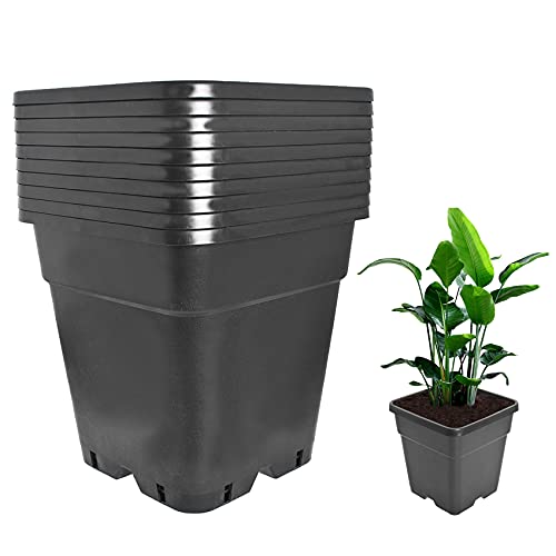 Plant Pots Flower Pot 10-Pack 1 Gallon Planter Nursery Pot Garden Seedling Planters Containers Plastic Injection Molded Pots with Drainage Holes for Outdoor Indoor Plants Vegetables, Black - color: Black, size: 1 Gallon - Square