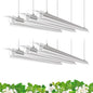 Barrina Plant Grow Lights, 4FT 5000K Full Spectrum Daylight White, 6 Packs - size: 4FT