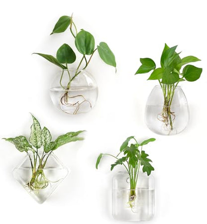 Mkono Wall Propagation Planters, 4 Pack Glass Hanging Vase Plant Holder