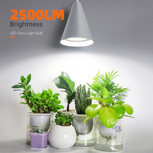 Bstrip Hanging Grow Light for Indoor Plants, 5000K - color: 5000K