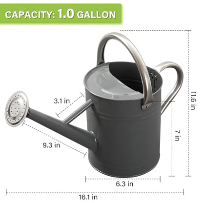 1 Gallon Metal Watering Can for Outdoor&Indoor Plants - color: Gray