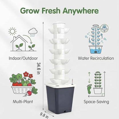 Plants Propagation Station