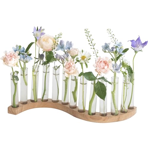 Test Tube Vases for Flowers，Small Plant Propagation Station，S Shape Plant Terrarium with Wooden Stand (Solid Beech) - color: Solid Beech
