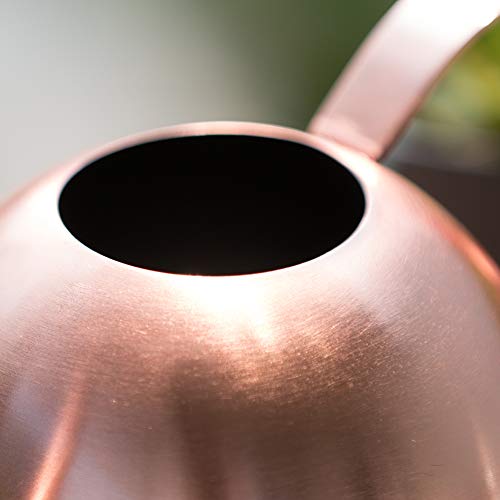 Watering Can for Indoor Plants, 30oz Long Spout Stainless Steel - size: Rose Gold 30 oz
