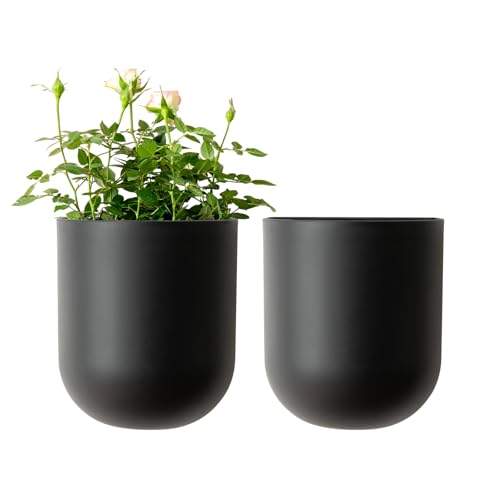 LA JOLIE MUSE Wall Planters for Indoor Plants, Hanging Flower Pots, 2 Pack - color: Black
