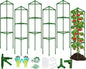 6 Pack Tomato Cages for Garden, Tomato Cage Trellis, Garden Cage Heavy Duty - color: 6 Pack