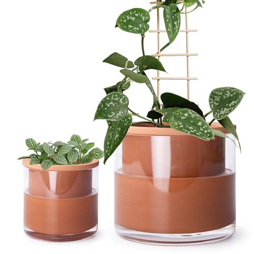 Phoenix Vine 4 Inch 6 Inch Self Watering Plants Pots, Design Terracotta Pots for Plants, Indoor Cylinder Terra Cotta Planter with Glass Vase Set, 51-A-G-46 - color: Terracotta, size: 4+6 Inch