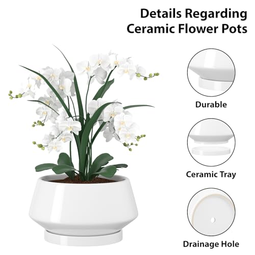 8.3 Inch White Ceramic Planter with Drainage Hole and Saucer - color: Gloss White, size: Medium