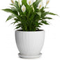 8 Inch Plant Pot, Ceramic Planters with Saucer, White - color: White, size: 8 Inch