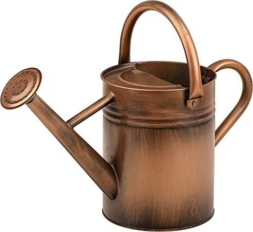 Metal Watering Can for Outdoor Plants, Watering Can Decor 1 Gallon (Copper) - color: 001 Copper