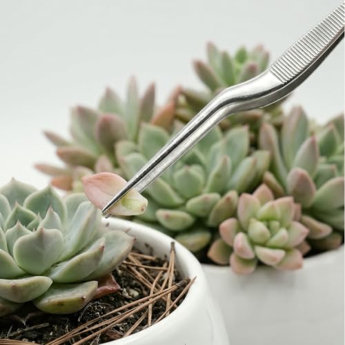 4Pcs Stainless Steel Seedling Gardening Tweezers & Clip, Long Thin Plant Transplanter for Succulent Bonsai Cactus, Seed Planting Tool for Indoor Outdoor Root Lowering Damage, Silver