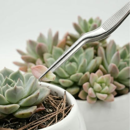 4Pcs Stainless Steel Seedling Gardening Tweezers & Clip, Long Thin Plant Transplanter for Succulent Bonsai Cactus, Seed Planting Tool for Indoor Outdoor Root Lowering Damage, Silver