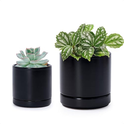 D'vine Dev 2-Pack Ceramic Pots & Saucers, Black, 3.5/4.7 in, 94-G-XS-2 - color: Black, size: X-Small