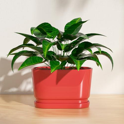 8.9" Rectangular Ceramic Planter with Drainage and Saucer, Red - color: Red, size: Medium