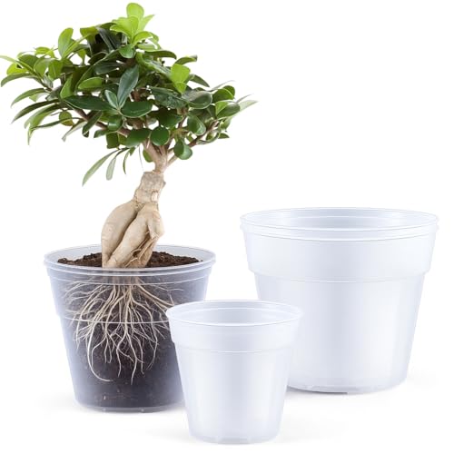 Vesici 6 Pcs 8/10/12 Inch Large Thickened Clear Nursery Pots - size: 8/10/12 Inch