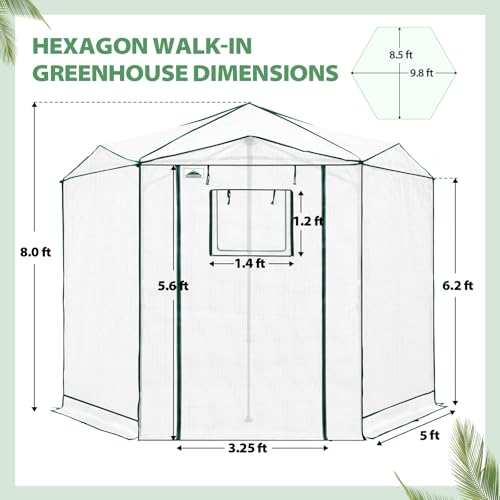 EAGLE PEAK 8.5x8.5 Easy Setup Pop Up Greenhouse, Hexagon, Clear/White - color: Clear/White, size: 8.5x8.5
