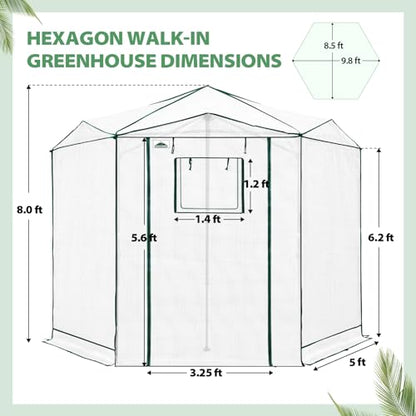 EAGLE PEAK 8.5x8.5 Easy Setup Pop Up Greenhouse, Hexagon, Clear/White - color: Clear/White, size: 8.5x8.5
