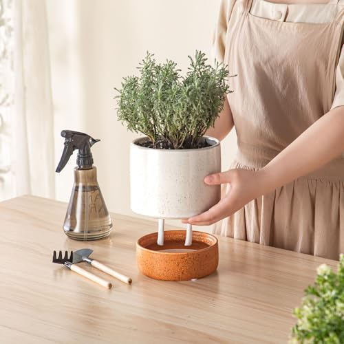 6 Inch Ceramic Self Watering Planter with Drainage Hole, Grey - color: Retrogrey, size: Small